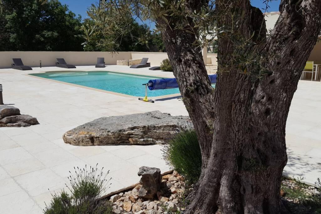 Gite La Truffiere Gras Dış mekan fotoğraf