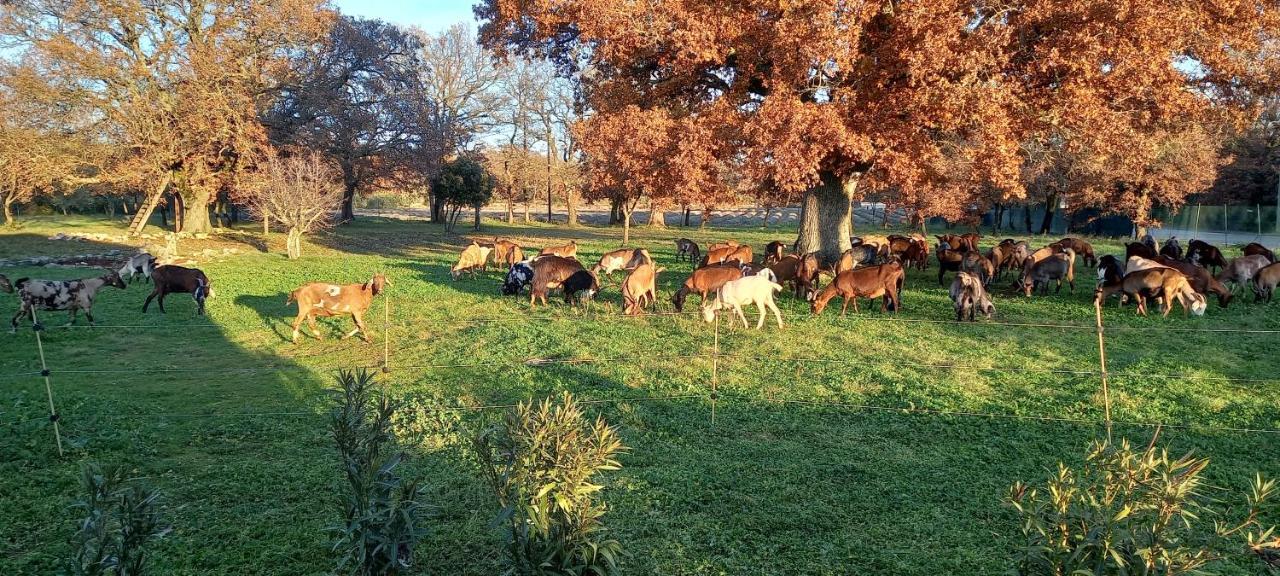 Gite La Truffiere Gras Dış mekan fotoğraf